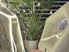 -天空花园餐吧·生日·团建(南山店)