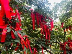 -终南山南五台景区