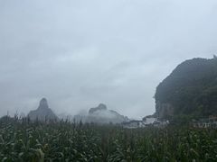 -明仕田园