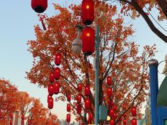 -沈阳方特欢乐世界