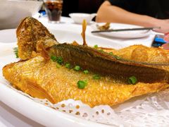 -金春禧(先天下店)