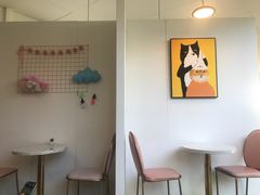 用餐区-有猫主题·治愈系猫咖(曾厝垵店)
