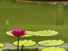 -国家植物园南园