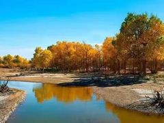 -中国石化李七庄加油站