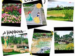 -东莞植物园