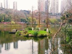 -重庆彩云湖湿地公园