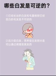 -Bollins波林丝•专研护发中心