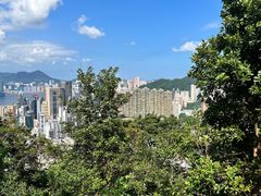 -太平山顶