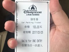 -迪士尼乐园停车场