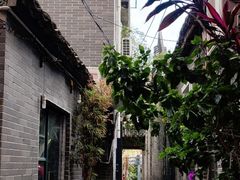 -小洲村
