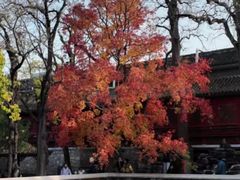 -回龙观体育文化公园