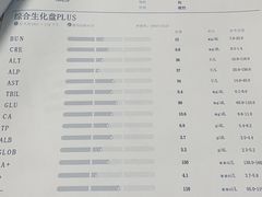 -申普宠物医院·心脏介入·心血管微创(总院)