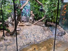 -上海大自然野生昆虫馆(东方明珠·爬宠昆虫探索中心)