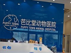 -芭比堂动物医院·CT·微创中心(新顺分院)