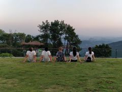 -铁山坪森林公园