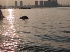 -瑶湖郊野森林公园