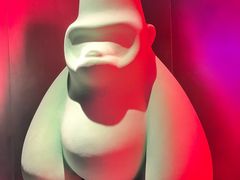 -Hi City·城市之巅