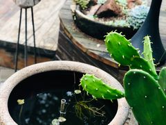 -悦哉·派对·草坪婚礼·围炉煮茶(三圣乡店)