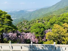-梧桐山风景名胜区