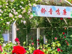 -太阳宫公园