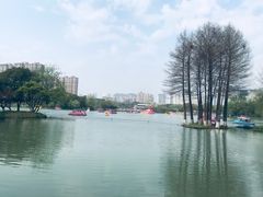 -青枫公园