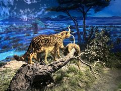 -国家自然博物馆