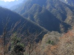 -陕西省红河谷森林公园