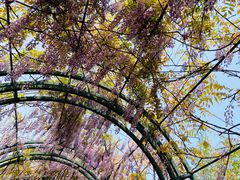 -杭州湾海上花田景区