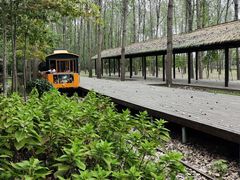 -合肥滨湖国家森林公园