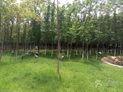 -艾溪湖湿地公园