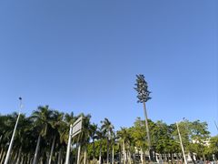 -华侨公园