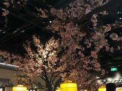 -绿茶餐厅(昌平悦荟店)