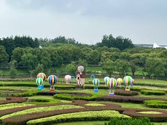 -东方绿舟景区