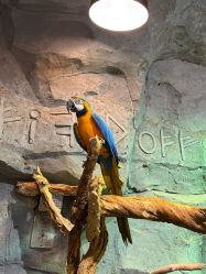 -Zoolung Zoolung动物主题公园(海信广场店)