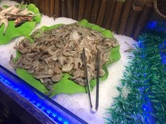 -欢乐牧场(T12店)