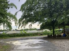-西双版纳傣族园