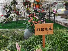 -上海鲜花港