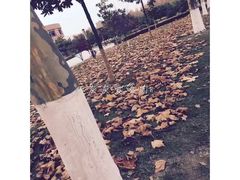 -宿迁学院