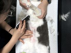 -御宝贝24h宠物医院·转诊中心·CT核磁血透中心(厦门总院)