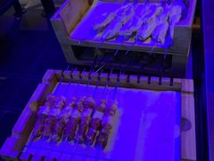 -很久以前羊肉串(打浦路店)