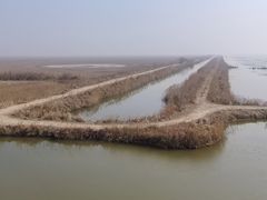 -盐城丹顶鹤湿地生态旅游区