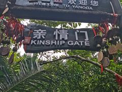 -呀诺达热带雨林