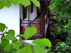 -张坝桂圆林公园