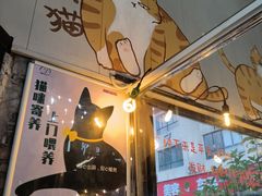-豆逗聊愈猫阁Easy Life
