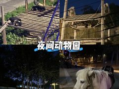 -大连森林动物园