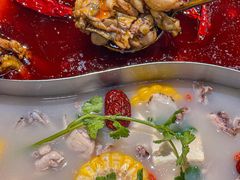 -麻田会 ·牛蛙火锅(珠江新城维家思广场店)