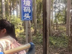 -西双版纳傣族园
