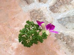 -官塘陈记鱼生·潮汕砂锅粥·牛肉火锅(潮枫路总店)