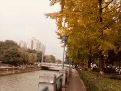 -杨柳河(地铁站)