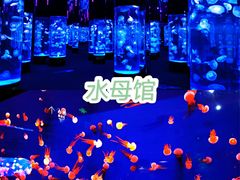 -成都浩海立方海洋公园